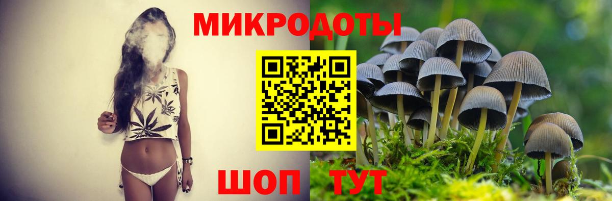 Псилоцибиновые грибы MAGIC MUSHROOMS Кропоткин